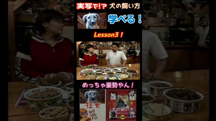 犬の飼い方を実写ゲームで学べる！Lesson③ #ライブ配信 #ゲーム実況 #ゲーム #犬　#プレイステーション　#shorts #short #ペット　#ペット動画 　#シンプル　#教育