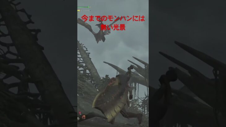 レウスボロボロやん笑　#MHWs#モンハン#ライブ配信 #ゲーム実況 #apexlegends