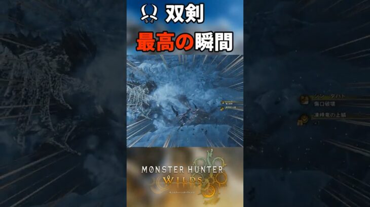 双剣は脳汁ドバドバ武器　 #mhw #ゲーム実況 #ワイルズ #モンハン #shorts