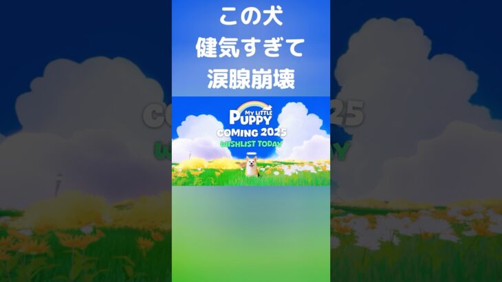 こんな泣けるゲーム他にない… #ゲーム実況 #ゲーム  #感動する話  #ハートフル #癒やし #動物 #コーギー #犬 #犬好き  #shorts