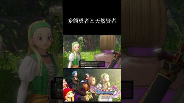 変態勇者と天然賢者 #ドラクエ #ドラゴンクエスト11 #ドラゴンクエスト #ゲーム実況 #ドラクエ11