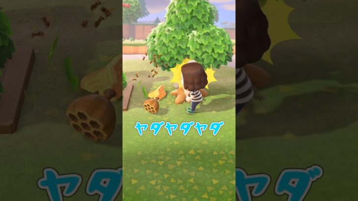 まぁそうなるよね！！ #あつ森 #ゲーム実況 #初心者 #animalcrossing #nintendo #shorts