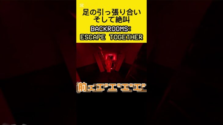 非協力と絶叫でグダグダになる初見プレイ #ゲーム実況 #ホラーゲーム #backrooms #shorts