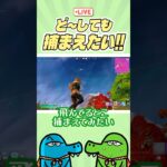 どうしても捕まえたい #フォートナイト #fortnite #ゼロビルド #ゼロビルドソロ  #ゲーム実況