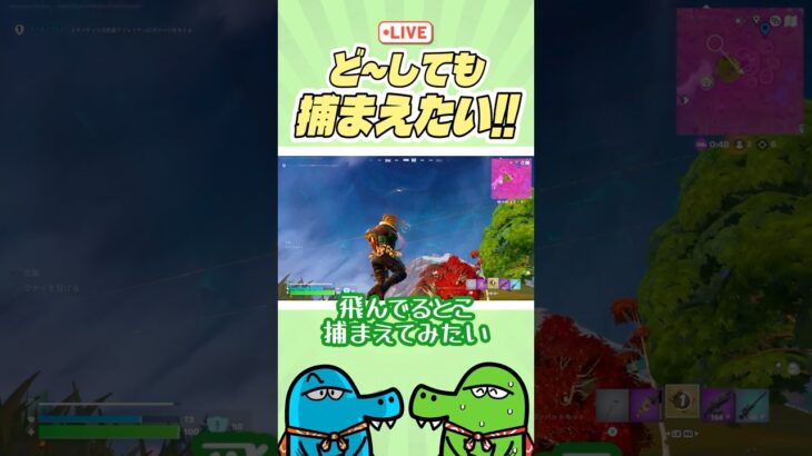 どうしても捕まえたい #フォートナイト #fortnite #ゼロビルド #ゼロビルドソロ  #ゲーム実況