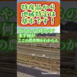 返礼品は雑草 #ゲーム実況 #geoguessr #雑草