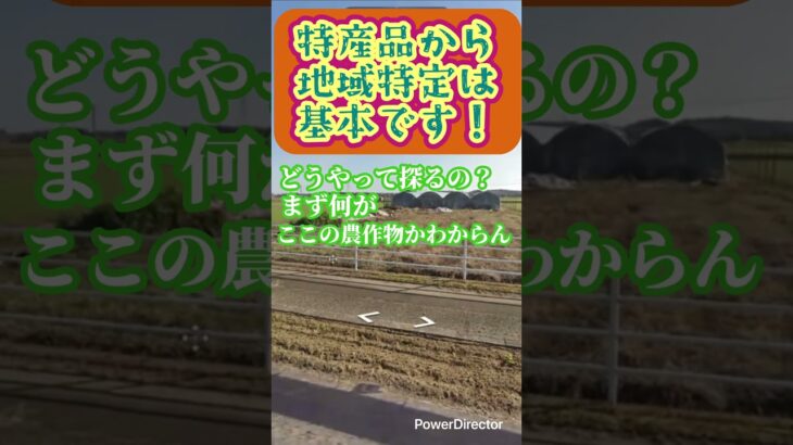 返礼品は雑草 #ゲーム実況 #geoguessr #雑草