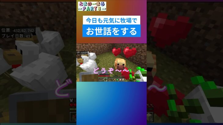 ニワトリ小屋に新しいお友達？？#マイクラ #minecraft #ゲーム実況 #小2
