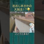 岩おじ大脱走の瞬間 #shorts #新人vtuber #ゲーム実況