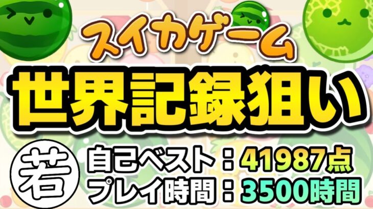 ただひたすらに高みを目指す【switch版スイカゲーム】