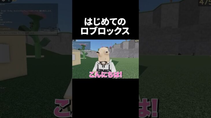はじめてのロブロックス #ゲーム実況