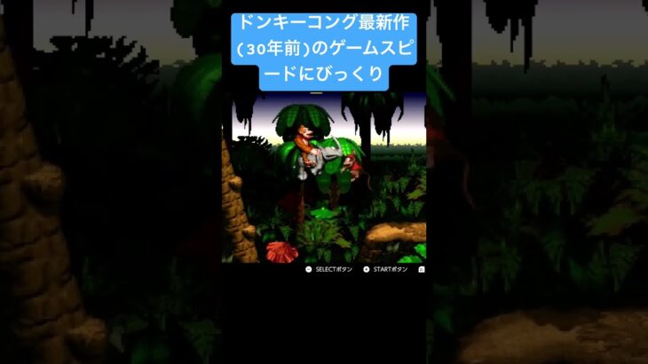 疾く #ドンキーコング #ゲーム実況