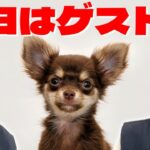 【ゲスト】今日はゲスト回！【ダブルヒガシのゲーム実況】