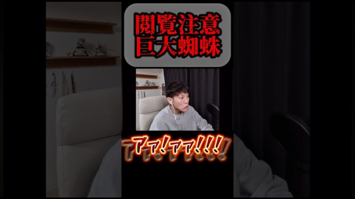 閲覧注意 巨大蜘蛛 #ゲーム実況 #ライブ配信 #ゲーム実況者 #バイオハザード #バイオハザード0 #biohazard #ホラーゲーム #ホラゲー #古参になりませんか