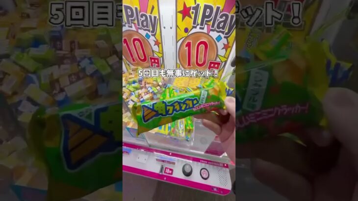 10円キャッチャーってどのくらい取れるのか検証‼️#クレーンゲーム #clawmachine #ゲームセンター #ゲーセン #ゲーム #ゲーム実況 #ufoキャッチャー #gameplay
