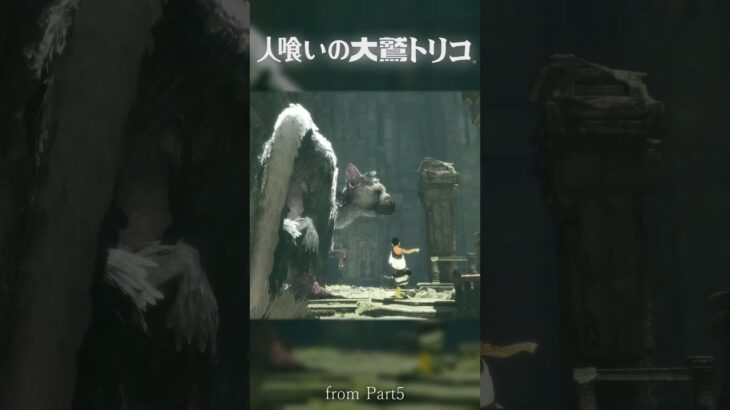 ジャンプ　:5 【人喰いの大鷲トリコ】#ゲーム実況 #人喰いの大鷲トリコ #thelastguardian
