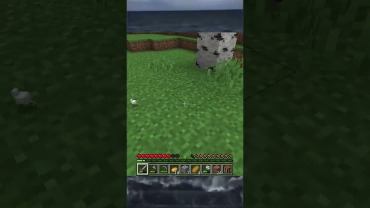 え….? 【Minecraft】#ゲーム実況 #切り抜き #ゲーム配信 #minecraft #チキン #マインクラフト #shorts #ゲーム