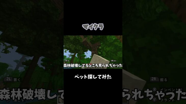 【Minecraft】いろんな動物に出会えてハッピー！！#shorts #short  #ゲーム実況  #マイクラ