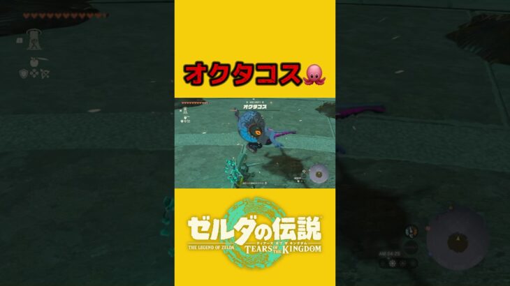 【ティアキン】オクタコス🐙#ゼルダの伝説ティアーズオブザキングダム #ゲーム実況 #任天堂 #gameplay #zelda #shots #オクタコス