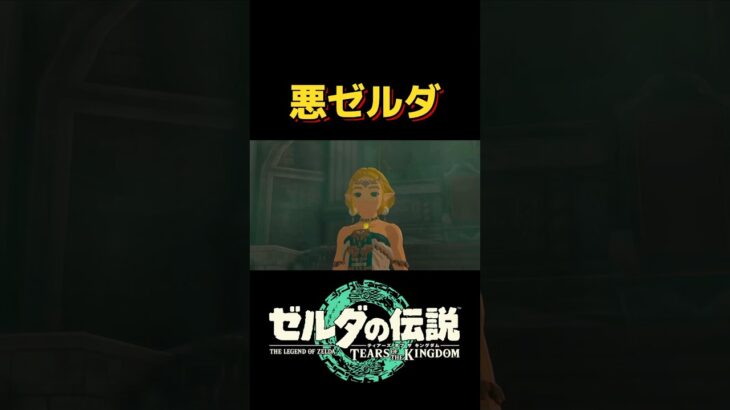 【ティアキン】悪ゼルダ #ゼルダの伝説ティアーズオブザキングダム #ゲーム実況 #任天堂 #gameplay #zelda #shots #ティアキン