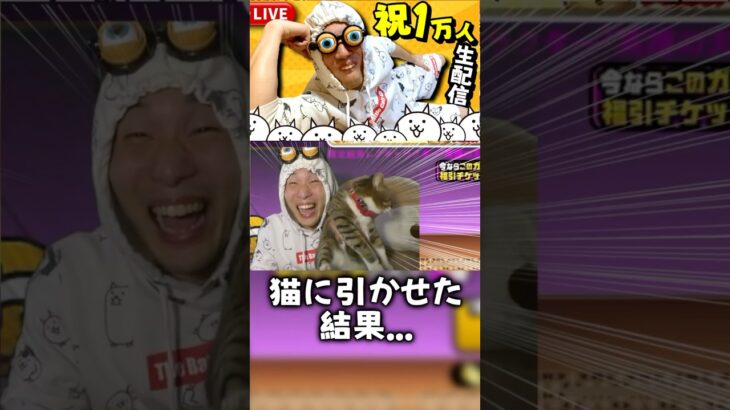 やっぱり猫は神様だった。#にゃんこ大戦争 #ゲーム実況 #発狂 #リアクション #ガチャ #猫 #ネコ #ねこ #神引き #神 #gaming #さぁーこいチャンネル #shorts