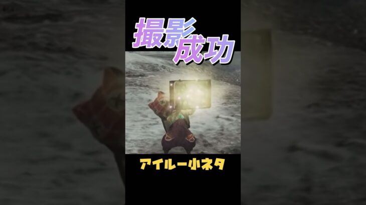 フォトモードで撮影成功！#オトモアイルー #ゲーム女子 #ゲーム実況 #mhws #モンスターハンターワイルズ