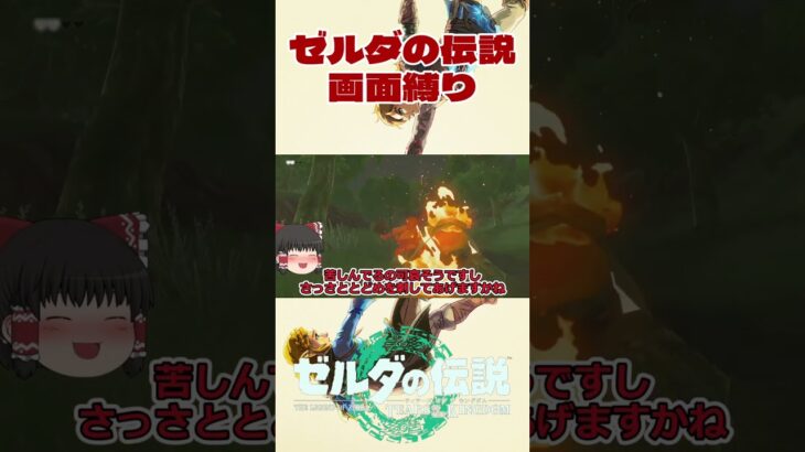 【ゆっくり実況】#shorts #ゆっくり実況 #ゼルダの伝説 #ゲーム実況 #ゼルダの伝説ティアーズオブザキングダム #ティアキン
