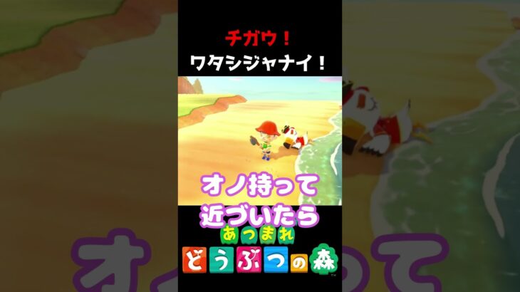 【 #あつ森 】チガウ！ワタシジャナイ！ #shorts #あつまれどうぶつの森  #切り抜き #ゲーム実況 #ゲーム #けいとかんな劇場