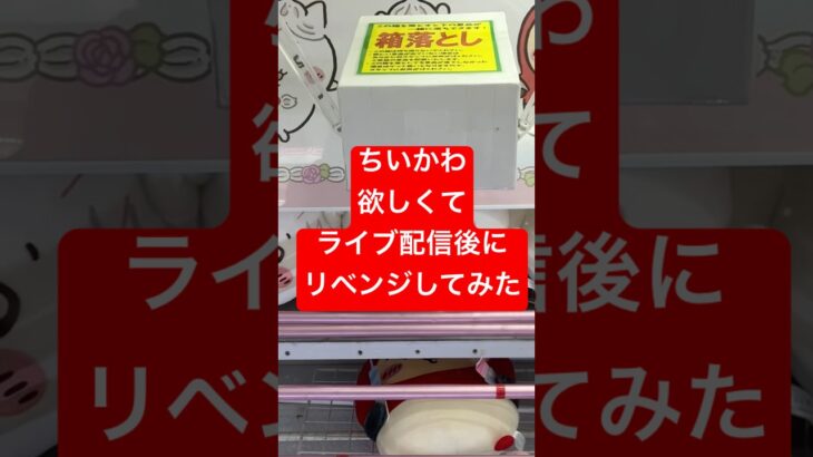 【クレーンゲーム】ちいかわ欲しい　ライブ配信後　リベンジマッチ　#ちいかわ #クレーンゲーム動画