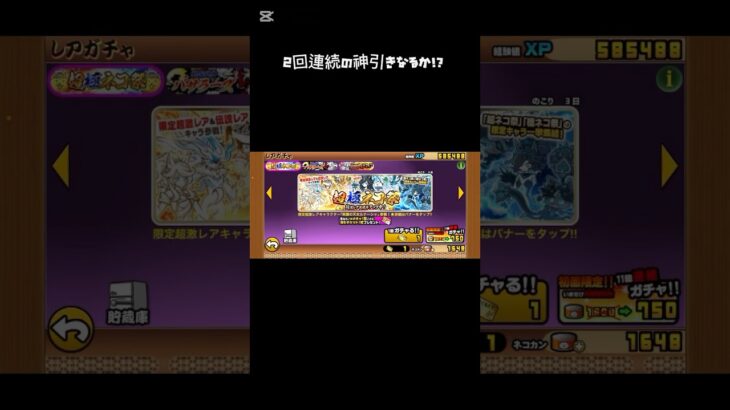 にゃんこ大戦争　超極ネコ祭　#にゃんこ大戦争 #ゲーム実況初心者 #ガチャ