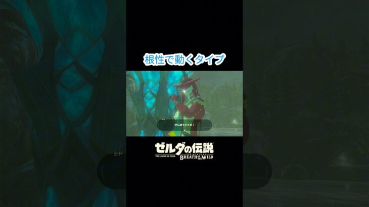 根性で動くタイプのシド王子…#ゲーム実況 #ゼルダの伝説 #ブレスオブザワイルド