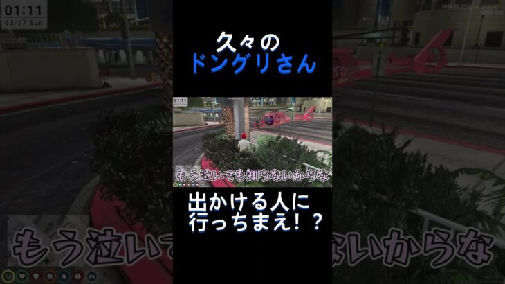 久々のドングリさん #ストグラ切り抜き #ゲーム実況 #救急隊 #赤髮のとも #赤髮のとも切り抜き