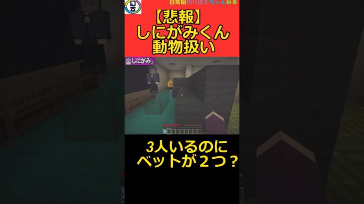 【悲報】しにがみペット扱い#日常組 #ゲーム実況 #日常組切り抜き #マイクラ