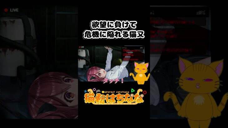 欲望に負ける猫又 #個人勢vtuber #ゲーム実況 #新人vtuberでも推されたい #vtuber